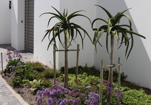 Marina Village 819 - Langebaan