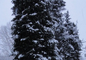 Marine on St Croix Retreat Unit 5