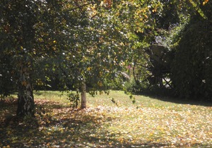 Melview Greens Serviced Apartments