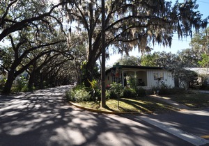 Mid-Century home on the storied Magnolia Ave!! New!