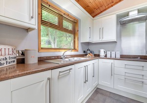 Modern and luxurious lodge.