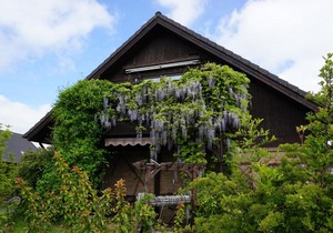 Modern Apartment with Garden Terrace Barbecue and Heating