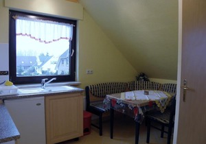 Modern Apartment with Garden Terrace Barbecue and Heating