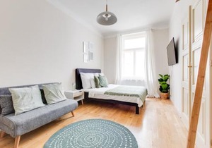 Modern Quiet Apt next to Wenceslas Square - VS