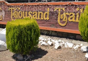 Morgan Hill Camping Resort Cabin 2