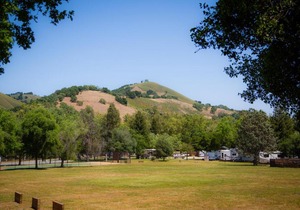 Morgan Hill Camping Resort Cottage 4