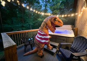 Mountain Home Near DollyWood HOT TUB, Games, sleeps 12!