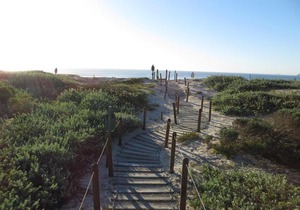 Neptunes Isle Apartment with a View