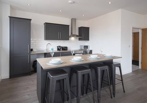 New 2 Bedroom Apt, close to Winter Gardens. Apt 4