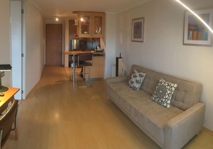 New Modern Apartment in Providencia