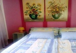 Nice holiday home with beautiful garden, BBQ, covered terrace, 4km from the sea