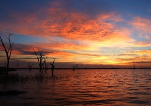 NRMA Yarrawonga Mulwala Holiday Park