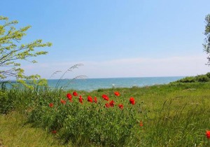 nur 100 m zum Strand, FeWo mit Balkon und Terrasse - App Eldena FeWo 19