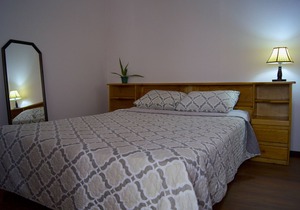 Oasis in the city Apartment B