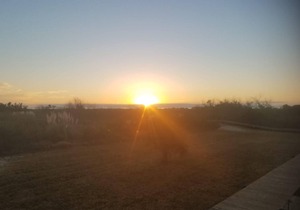 Ocean Front + Golf Cart + Private Deck = Sea Island Magic