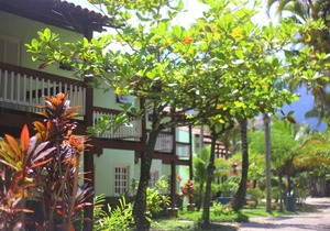 Oceanfront Condo, Wonderful Landscape, with a Beautiful Sunset!