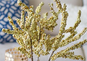 Oceanfront Luxury & Centrally Located In Huatulco