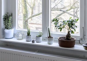 Old belly arms: Fully furnished 2.5 room apartment in Trendviertel