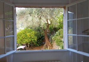Olive Grove Apartment with *Large Heated Pool*