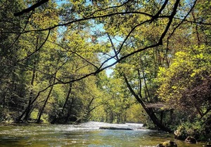 On The Banks of the River-Fishing/Views/Hiking/Paddling/Campfire & Fall Leaves!