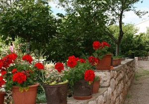 One bedroom apartment with balcony and sea view Novi Vinodolski (A-5514-a)