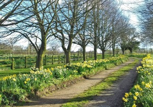 Orchard Cottage-23895