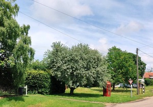 Orchard House - Three Bedroom House, Sleeps 6