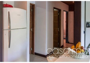 Our space is surrounded by beautiful nature landscapes, with Tucan animals