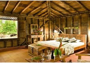 Our space is surrounded by beautiful landscapes, with toucans animals