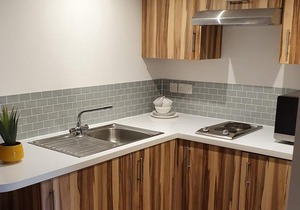 Palace Studio Elite self-contained Apartment