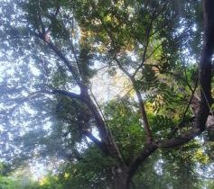 PARK VEREDAS FLAT 322