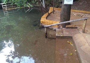 PARK VEREDAS FLAT SERVICE