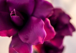 Pass the Keys | Trendy & Modern Cardiff Bay Townhouse - Sleeps 6