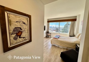 Patagonia View