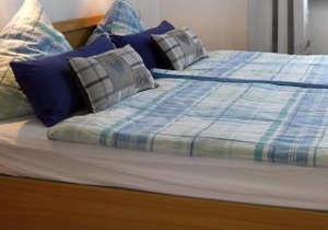 Pension "Haus am Walde" Brodenbach, Mosel