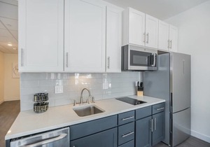 Pine Suite - 102 in Philadelphia