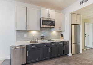 Pine Suite - 415 in Philadelphia