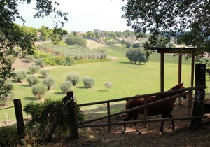 Poggio Imperiale Marche - Civitanova Marche