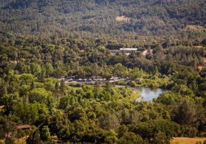 Ponderosa Camping Resort One-Bedroom Cabin 2