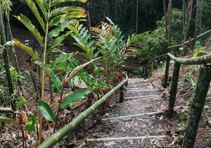 Private room ∙ 1 bedroom ∙ 6 guests