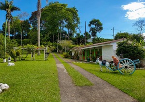 Private room ∙ 1 bedroom ∙ 6 guests