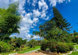 Private room ∙ 1 bedroom ∙ 6 guests