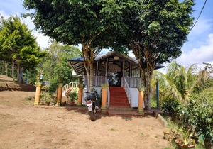 Punarjani Ayurvedic Resorts