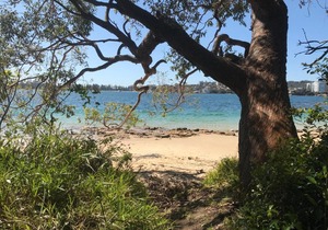 Queenscliff beach apartment