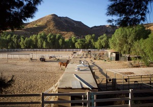 Red Rock Riding Ranch House #2