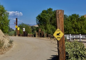 Red Rock Riding Ranch House #2