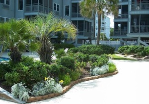 "REDUCED SUMMER RATES", OCEANFRONT, BEST VIEW ON THE BEACH, NORTH MYRTLE!