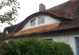 Reethaus Zickersche Berge - Apt. 01