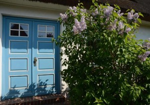 Reethaus Zickersche Berge - Apt. 01