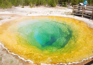 Relax & Unwind! On-site Pool and Restaurant, Close to Shoshone National Forest!